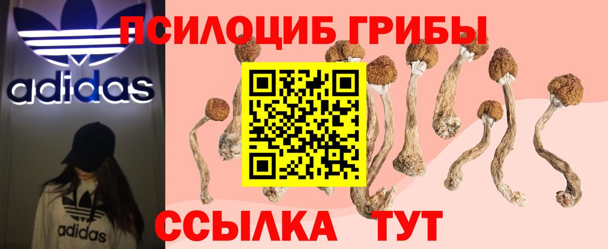 Галлюциногенные грибы Magic Shrooms Новокубанск