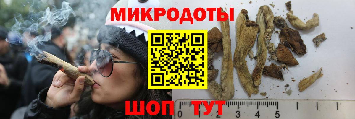 купить наркотики цена  Вход с VPN  Новокубанск  Псилоцибиновые грибы Psilocybine cubensis  Галлюциногенные грибы GOLDEN TEACHER 